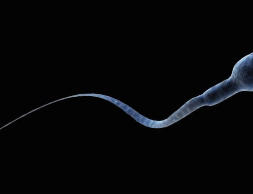 Sperm and Miscarriage